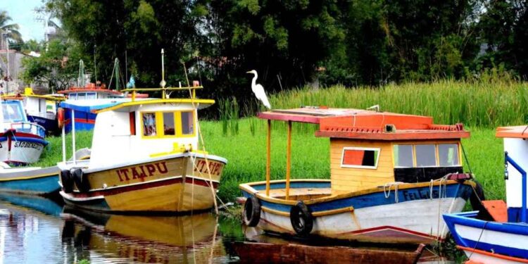 Fotógrafos contam a história de Caraguatatuba em exposição no MACC
