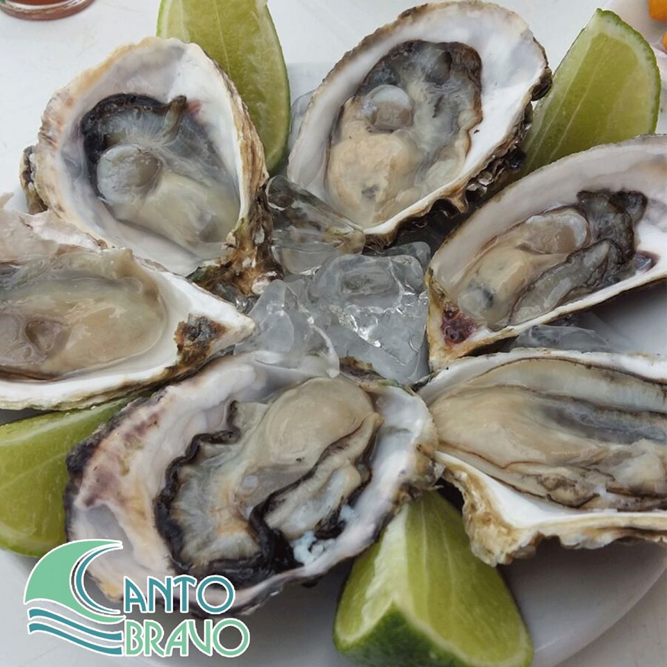 QUIOSQUE CANTO BRAVO