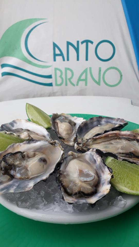 QUIOSQUE CANTO BRAVO