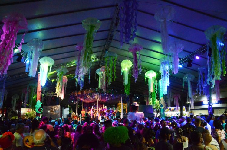 VEJA FOTOS DE SÁBADO 22º Carnaval de Antigamente