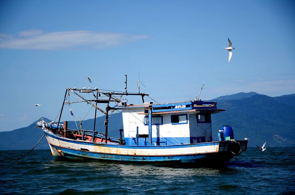 Parabéns Caraguatatuba 163 anos