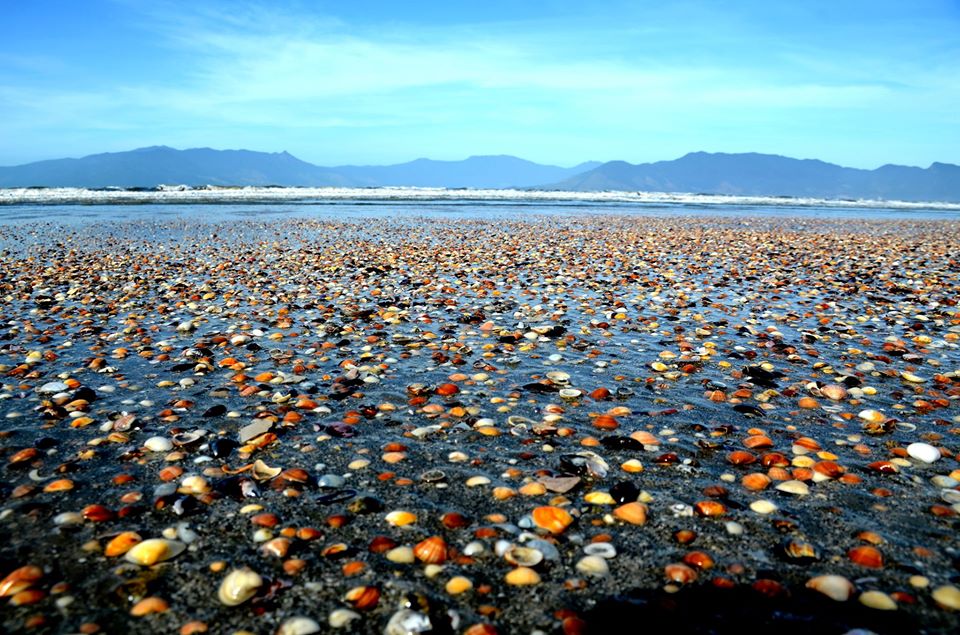 Parabéns Caraguatatuba 163 anos
