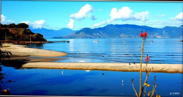 Parabéns Caraguatatuba 163 anos