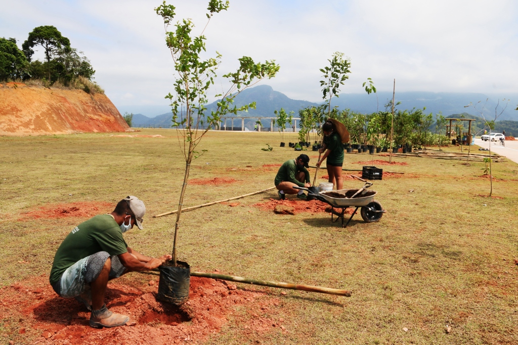 Complexo Turístico do Camaroeiro recebe paisagismo tropical e plantio de 318 árvores floríferas e frutíferas nativas
