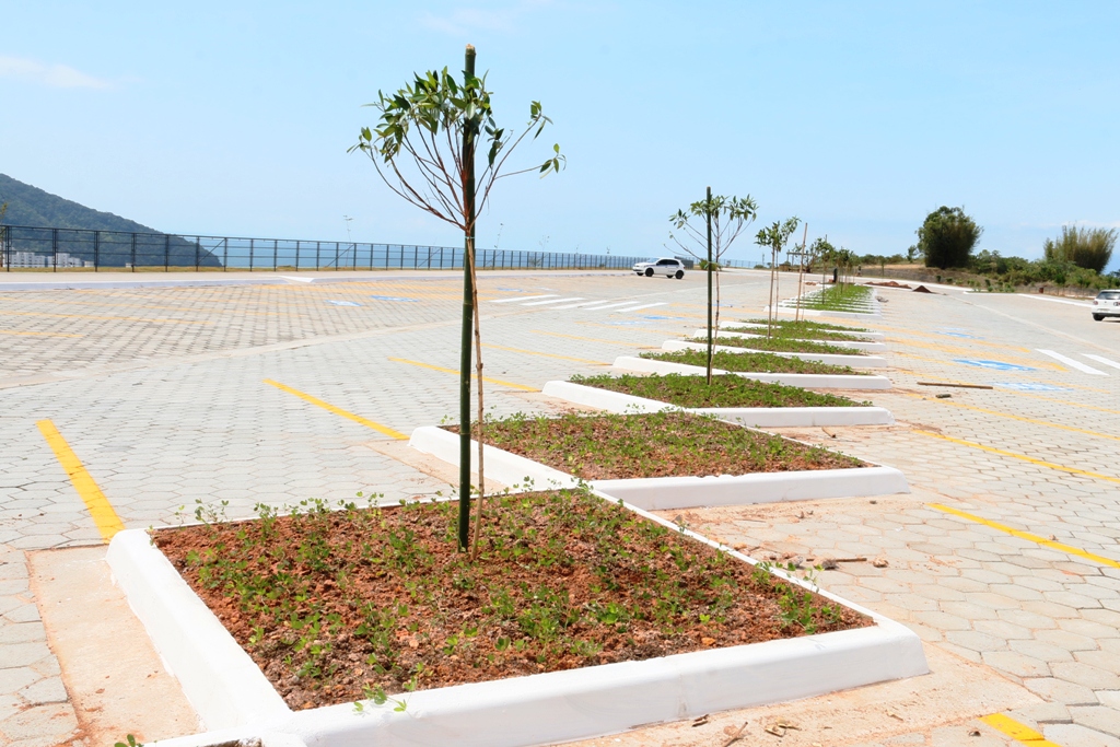 Complexo Turístico do Camaroeiro recebe paisagismo tropical e plantio de 318 árvores floríferas e frutíferas nativas