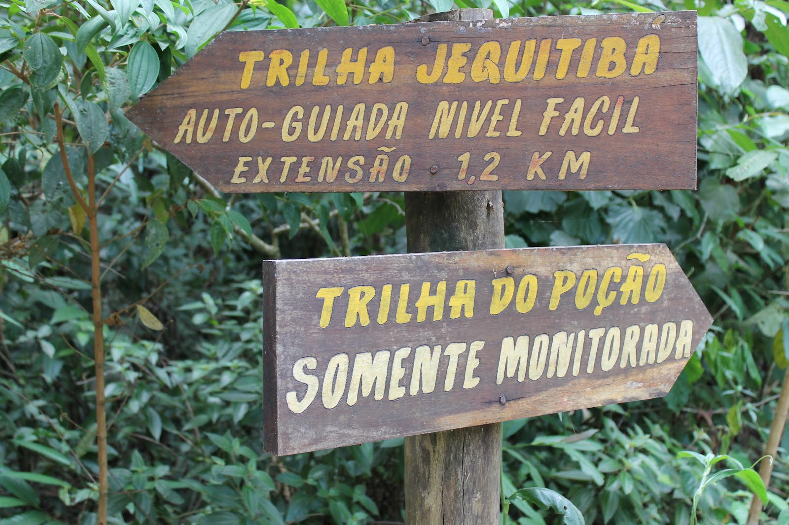 Parque Estadual Serra do Mar