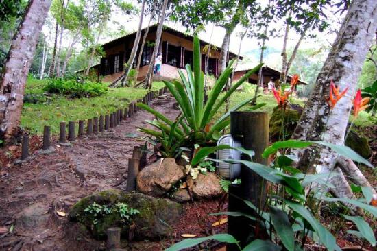 Parque Estadual Serra do Mar