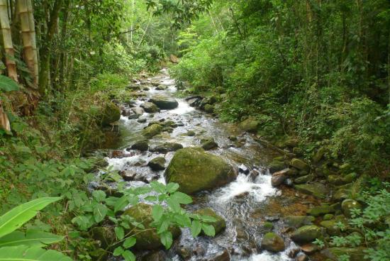 Parque Estadual Serra do Mar
