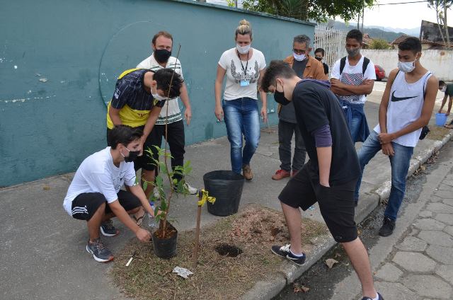 Mês do Meio Ambiente e Ecologia