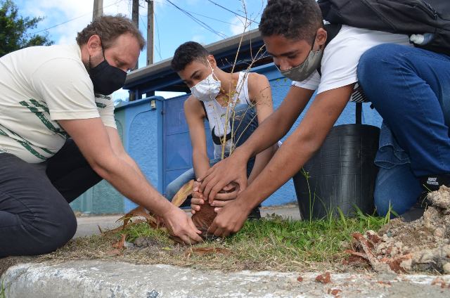 Mês do Meio Ambiente e Ecologia