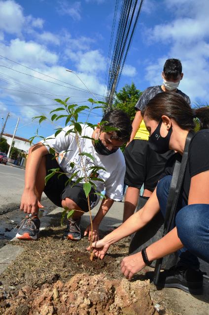 Mês do Meio Ambiente e Ecologia