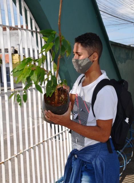 Mês do Meio Ambiente e Ecologia