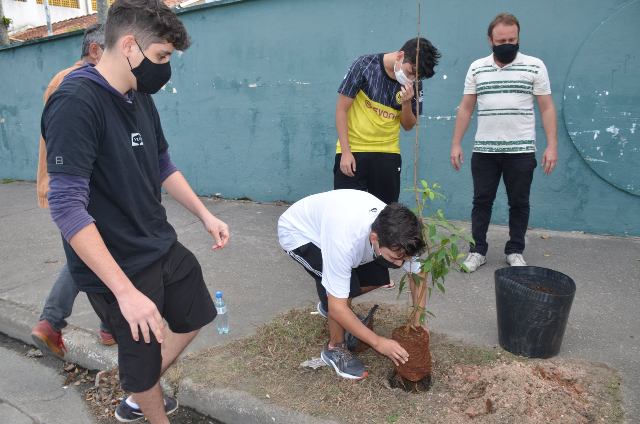 Mês do Meio Ambiente e Ecologia