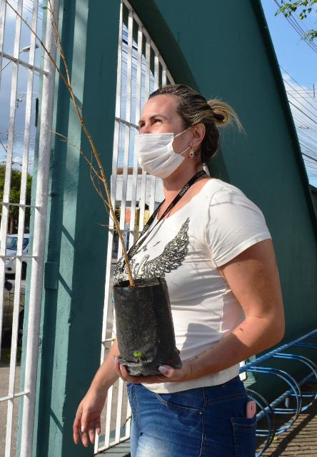 Mês do Meio Ambiente e Ecologia