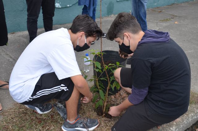 Mês do Meio Ambiente e Ecologia