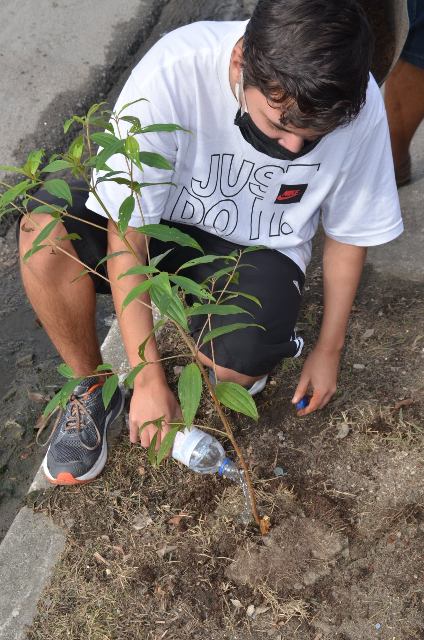 Mês do Meio Ambiente e Ecologia