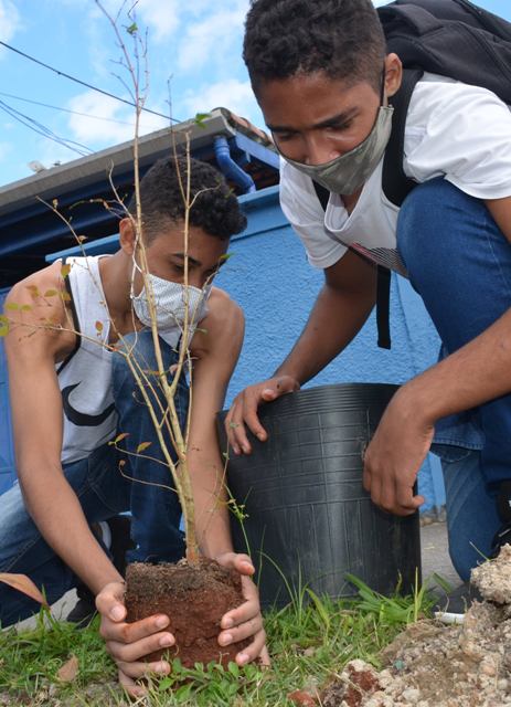 Mês do Meio Ambiente e Ecologia