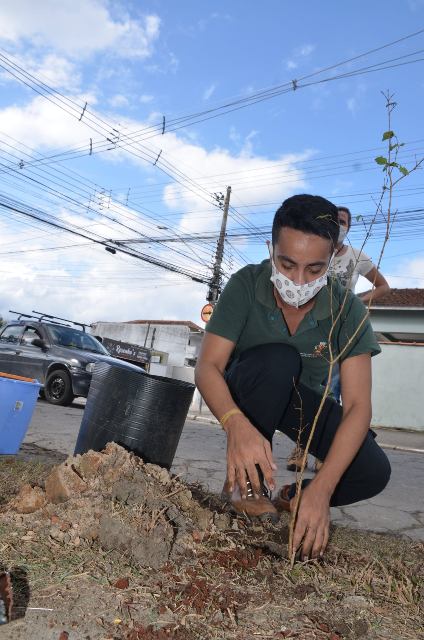 Mês do Meio Ambiente e Ecologia