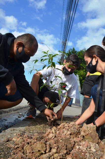 Mês do Meio Ambiente e Ecologia