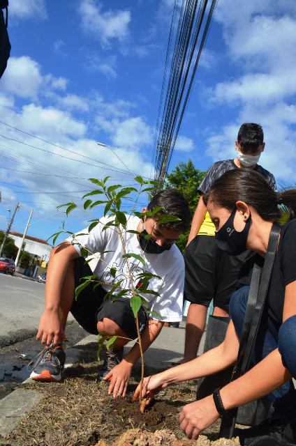 Mês do Meio Ambiente e Ecologia