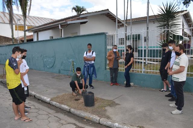 Mês do Meio Ambiente e Ecologia