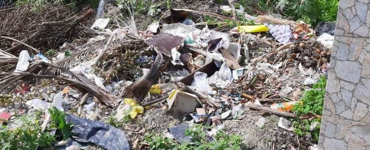 ADL aponta que taxa de infestação de dengue continua acima de 1% em Caraguatatuba