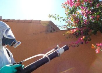 Mais de 80% das atividades realizadas pelo CCZ no primeiro semestre são relacionadas à dengue