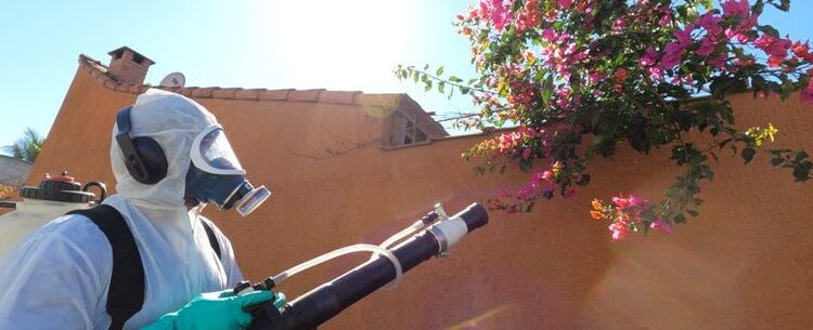 Mais de 80% das atividades realizadas pelo CCZ no primeiro semestre são relacionadas à dengue