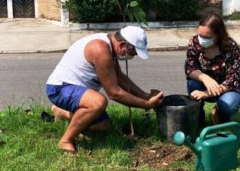 Dia da Árvore: Caraguatatuba já doou 650 mudas de plantas nativas neste ano