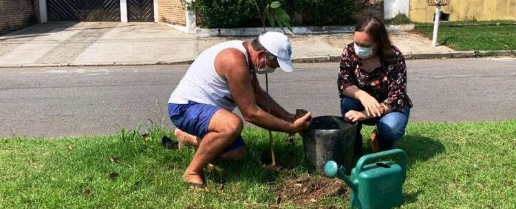 Dia da Árvore: Caraguatatuba já doou 650 mudas de plantas nativas neste ano