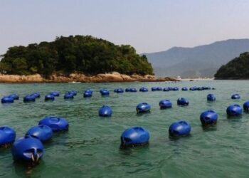 Técnicos do Ministério da Agricultura, Pecuária e Abastecimento visitam Fazenda Marinha de Mexilhão em Caraguatatuba