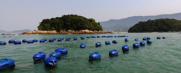 Técnicos do Ministério da Agricultura, Pecuária e Abastecimento visitam Fazenda Marinha de Mexilhão em Caraguatatuba