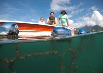 Comunidade da Cocanha pode ser transformada em Vila Turística
