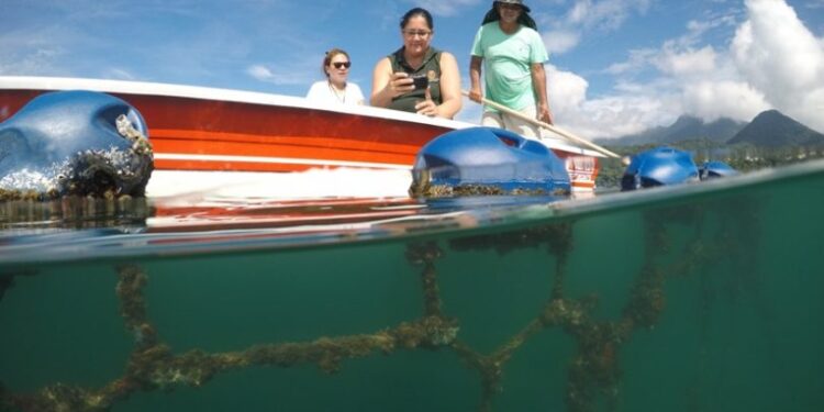 Comunidade da Cocanha pode ser transformada em Vila Turística