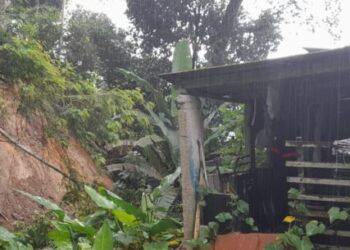 Defesa Civil aponta que acumulado de chuvas em Caraguatatuba ultrapassa os 100 mm em 72 horas; Prefeitura trabalha em diversos pontos da cidade