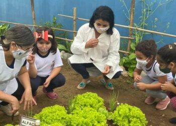 Projeto Horta Educativa já conta com mais de 30 unidades em Caraguatatuba