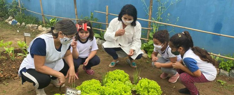 Projeto Horta Educativa já conta com mais de 30 unidades em Caraguatatuba