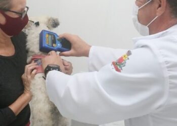 CCZ de Caraguatatuba abre agenda de novembro para castração de cães e gatos