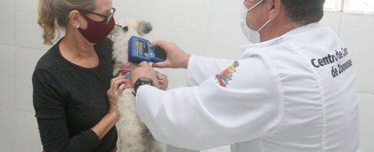 CCZ de Caraguatatuba abre agenda de novembro para castração de cães e gatos