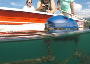 Caraguatatuba faz parte da Rota Gastronômica da Secretaria de Turismo e Viagens do Estado