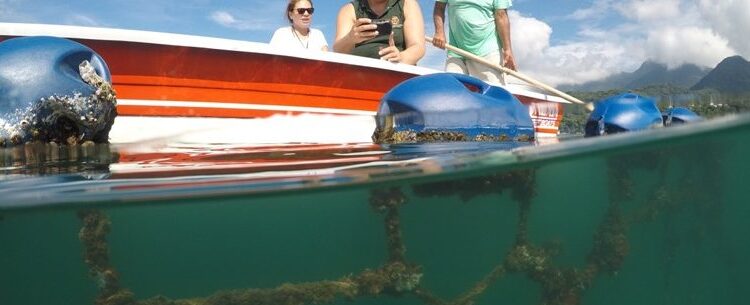 Caraguatatuba faz parte da Rota Gastronômica da Secretaria de Turismo e Viagens do Estado