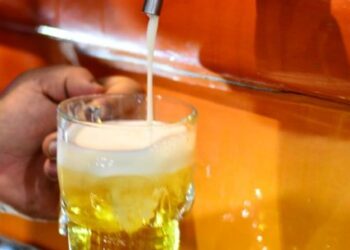 Confira a lista dos candidatos habilitados para o Beer Festival 2021