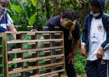 Estudantes de Caraguatatuba participam da soltura de aves reabilitadas