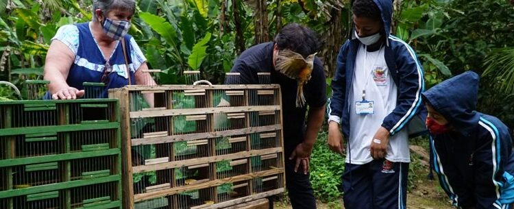 Estudantes de Caraguatatuba participam da soltura de aves reabilitadas