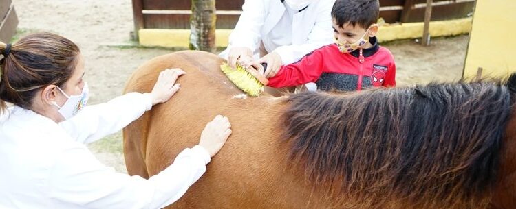 Acalento inicia campanha “Apadrinhe essa causa – Natal do amor”