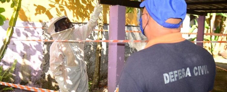 Atendimentos pela Defesa Civil de Caraguatatuba crescem mais de 48% em outubro