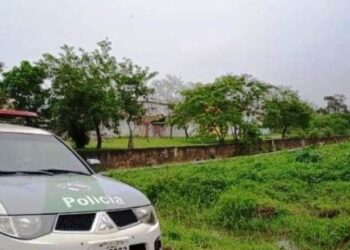 Desmatamentos resultam em R$ 2 mil de multa estadual durante ações da Atividade Delegada Ambiental