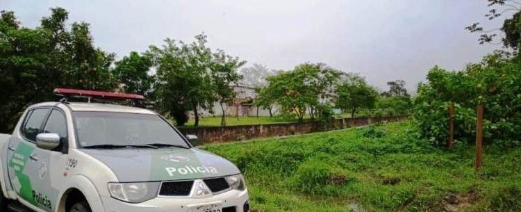 Desmatamentos resultam em R$ 2 mil de multa estadual durante ações da Atividade Delegada Ambiental