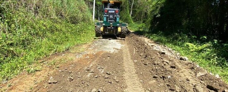 Estrada do Poço da Anta recebe nivelamento e limpeza
