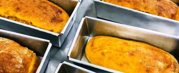 Fundo Social inicia curso de Técnicas para Confecção de Pães e Salgados Fitness